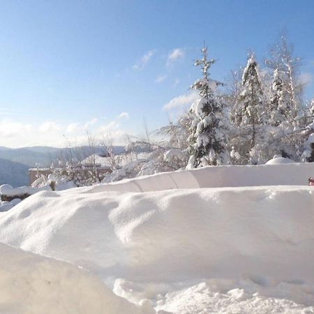 Laptitevosgienne Vue Lac A Gerardmer ! Dış mekan fotoğraf
